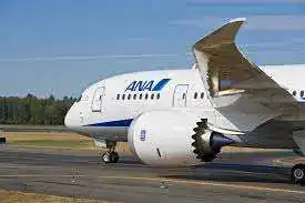 Boeing 787 Dreamliner ANA livery — GEnx engine visible with distinctive chevron nozzle